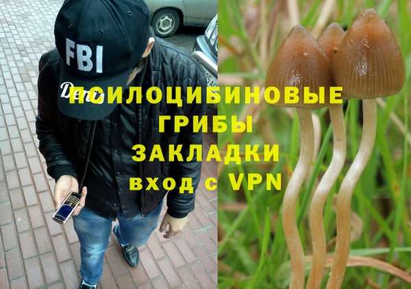 ALPHA PVP Козловка