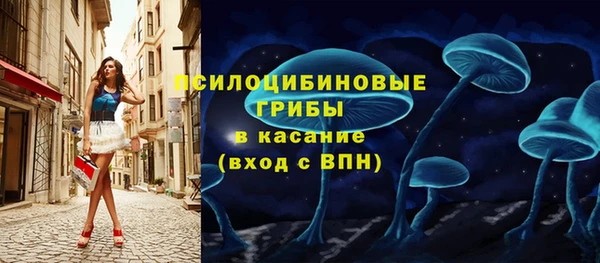 кокс Инта