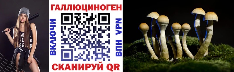 Галлюциногенные грибы Cubensis  цена наркотик  Медынь 